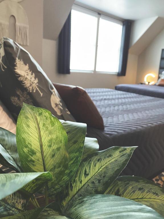 Winter Park Chateau - Queen Studio