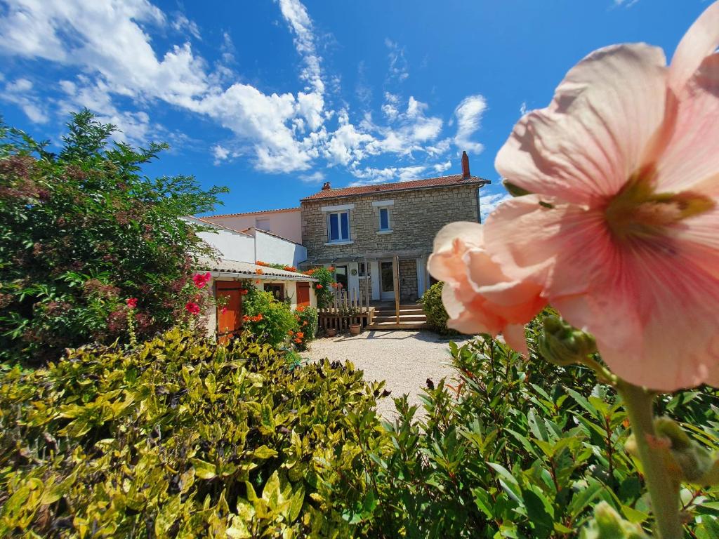 une maison avec une fleur rose devant elle dans l'établissement Les EcoloGites de la Rochelle, à La Rochelle