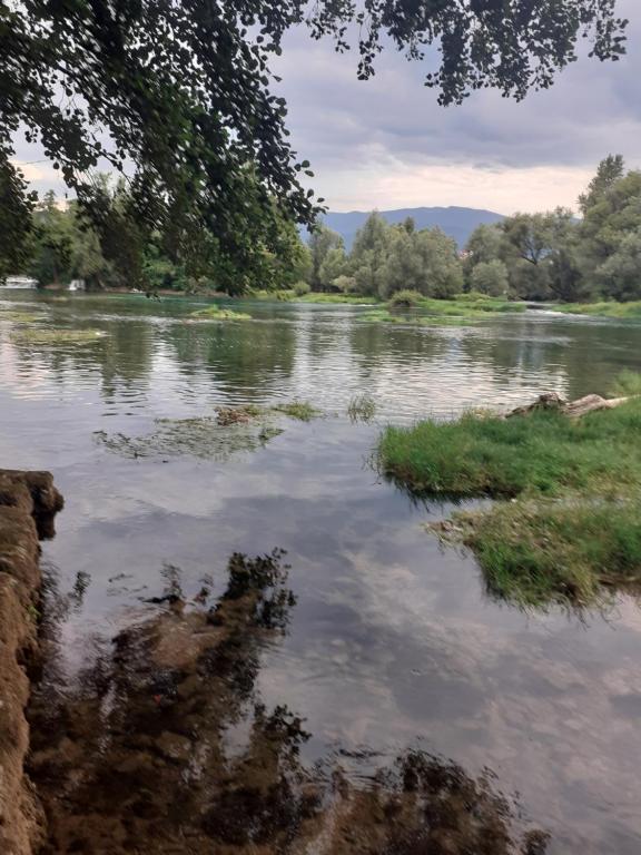 vista su un fiume con erba e alberi di Apartman Dalal - with access to river Una a Bihać