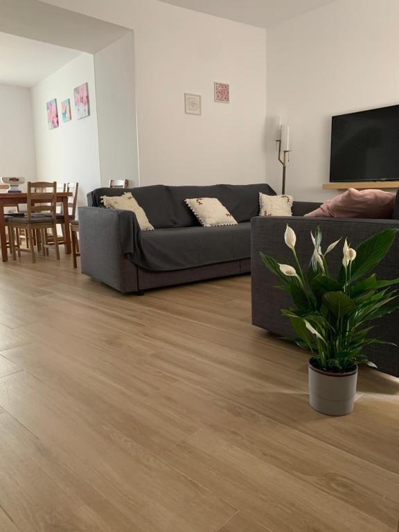 Televízia a/alebo spoločenská miestnosť v ubytovaní Pintada 57