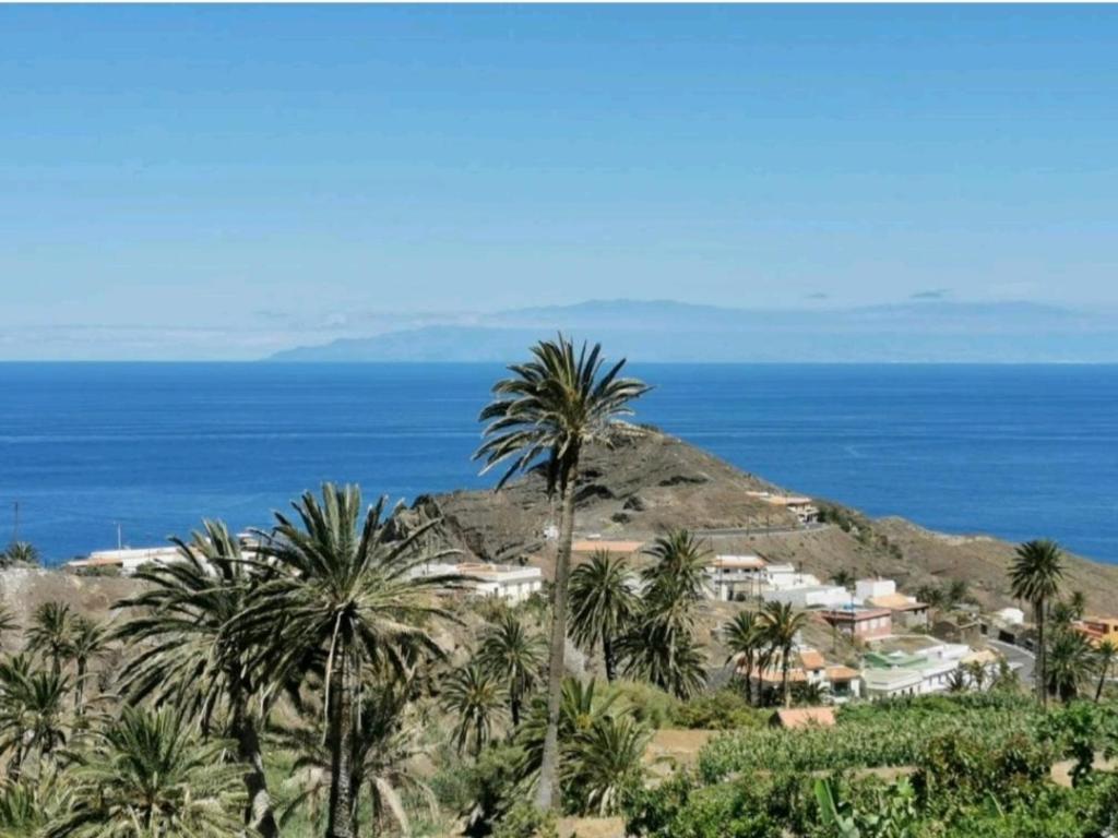 un gruppo di palme di fronte all'oceano di Vv - Casa Clary -Finca Medina ad Alojera