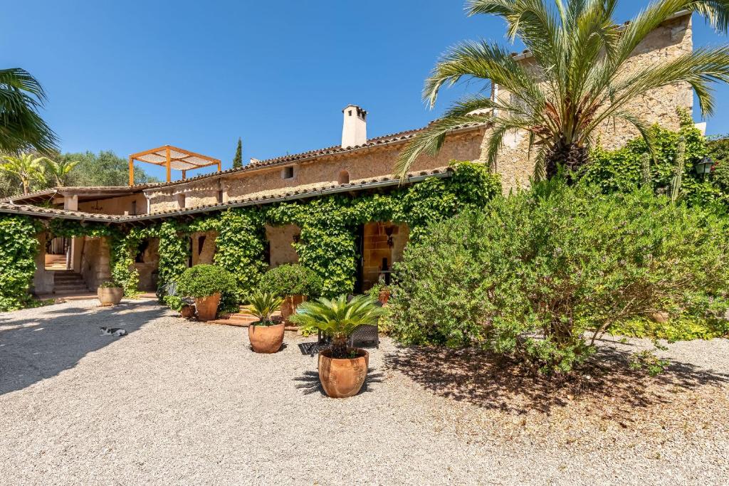 Bed and breakfasts Finca Son Jorbo - Adults only en Porreras, Mallorca