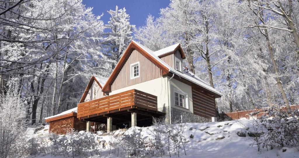 a house in the snow with snow covered trees at Space in Szklarska Poręba
