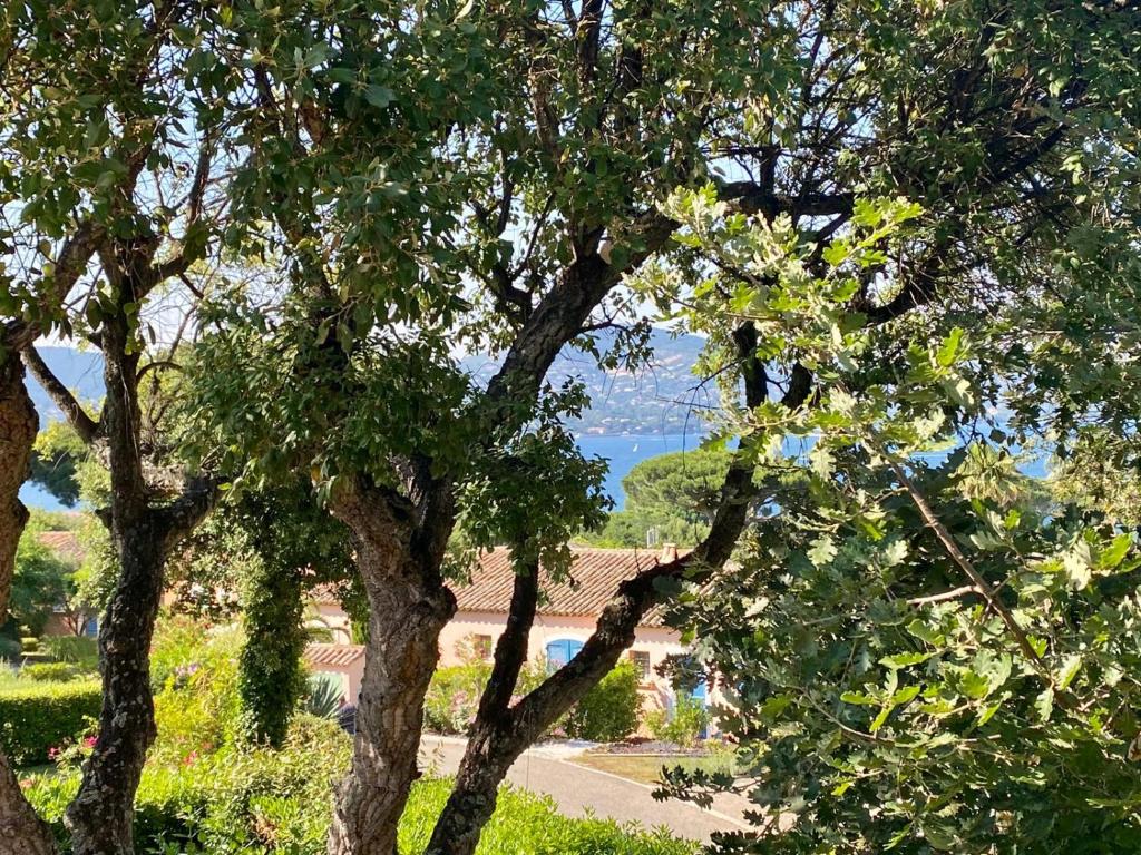 a view of a lake from between two trees at Villa vue mer donnant sur le Golfe de St Tropez, 2 chambres, 6 pers, piscine commune in Saint-Tropez