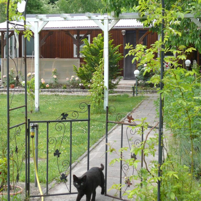 a black cat walking through the gates of a garden at Bungalow im Märchengarten in Krauschwitz