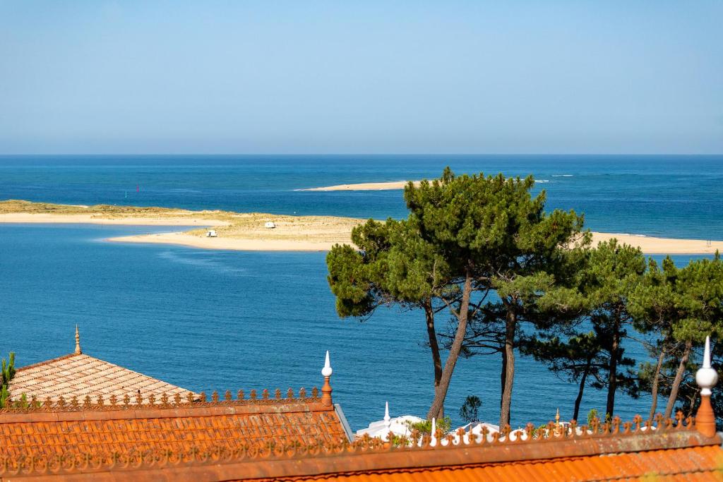 - une vue sur la plage avec un arbre et l'océan dans l'établissement O'DYSSEE Appartement vue panoramique Bassin d'Arcachon, à Pyla-sur-Mer