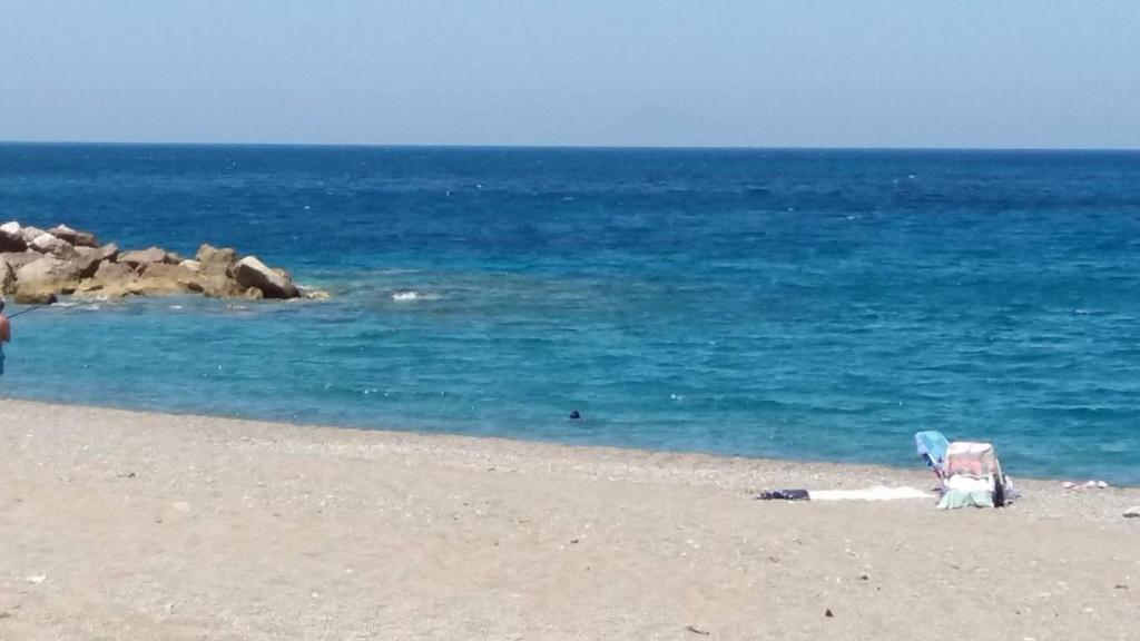 Sangiorgii