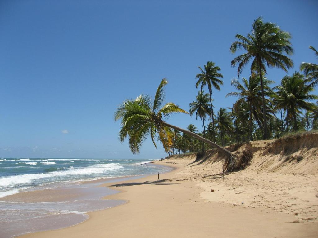  Paribahia