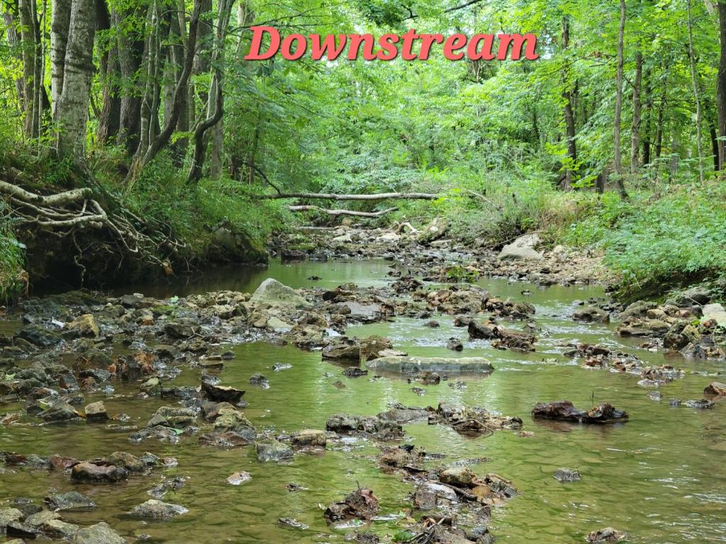 Naturlandskabet i nærheden af landstedet