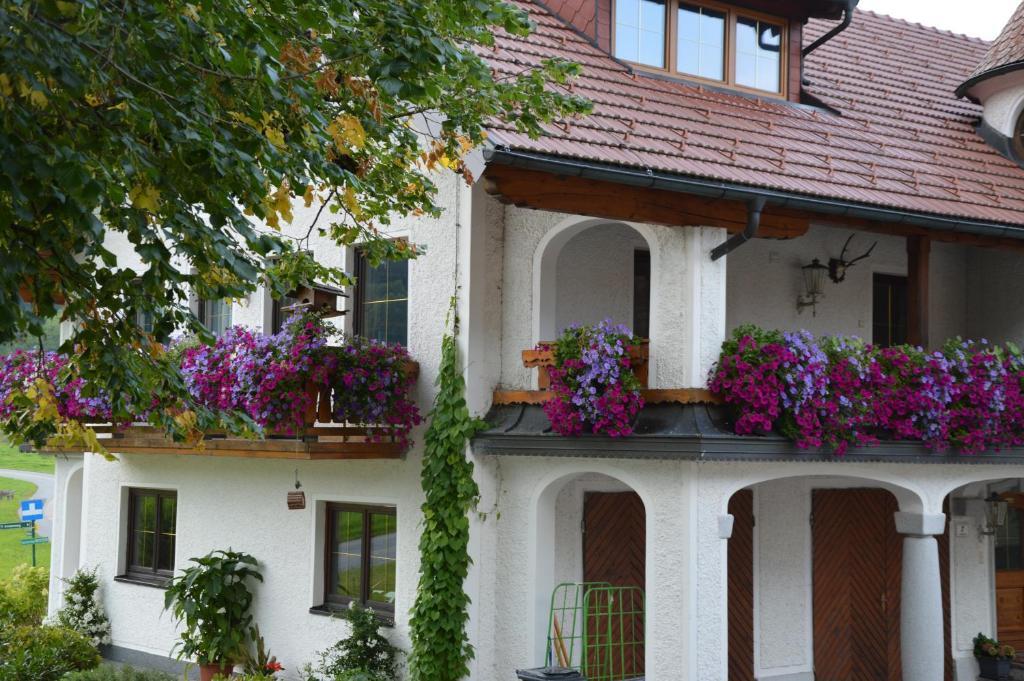 Zahrada ubytování Pension Zenzlgut