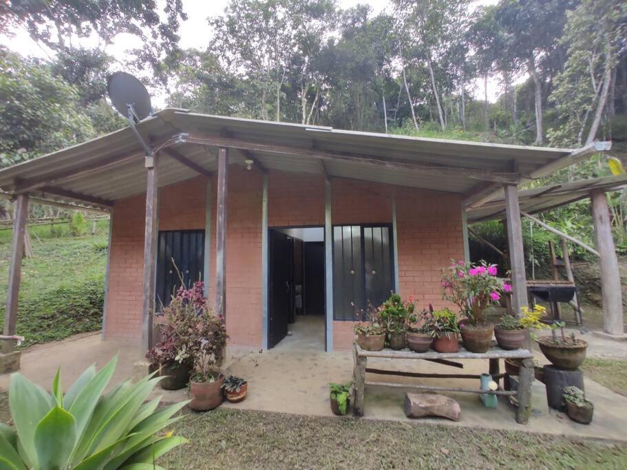 ein kleines Haus mit Topfpflanzen davor in der Unterkunft Cucú Ardilla Vivienda Campestre en Pance in Cali