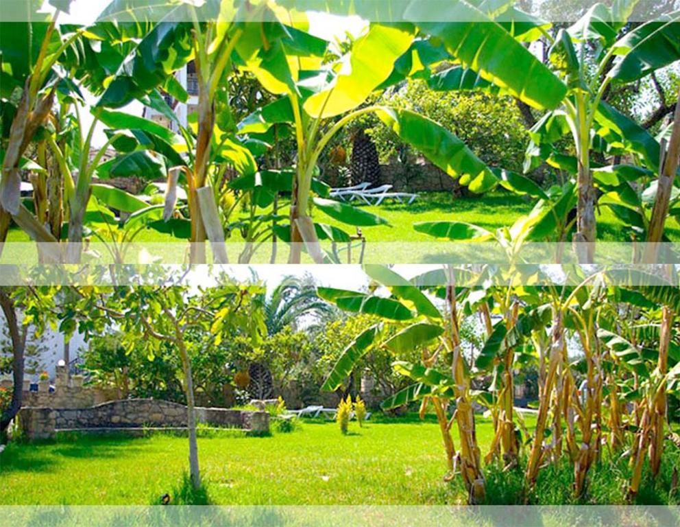 a green field with trees and a person walking in the grass at Gerakari Thalassa Studios in Kypseli