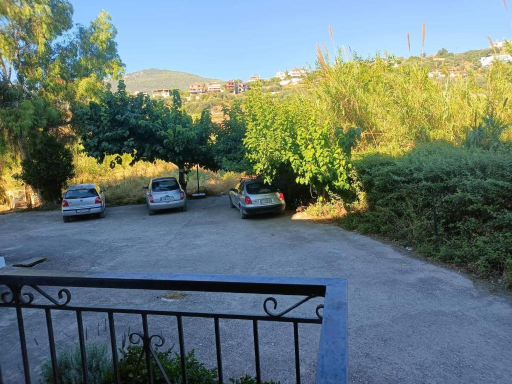 Příroda nedaleko apartmánu