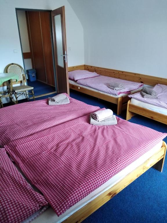 Postel nebo postele na pokoji v ubytování Penzion Iris Krkonoše