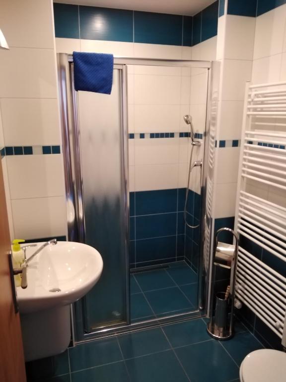 Koupelna v ubytování Penzion Iris Krkonoše