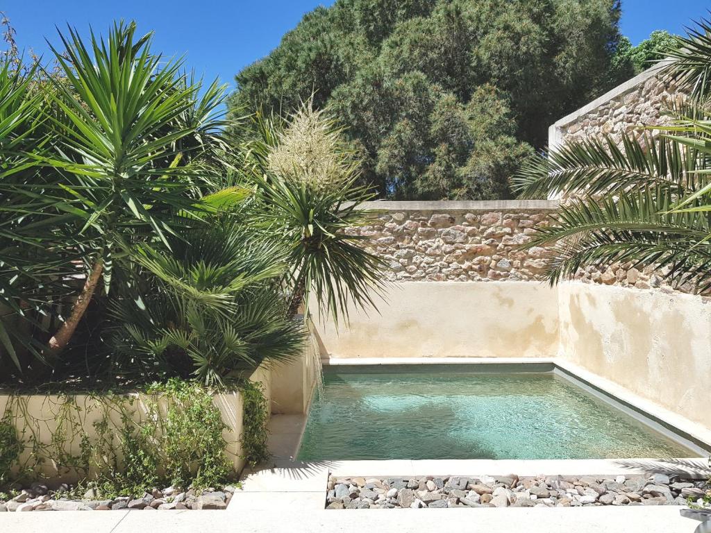 einen Pool in einem Garten mit Palmen in der Unterkunft L'Accent d'ici in Le Somail