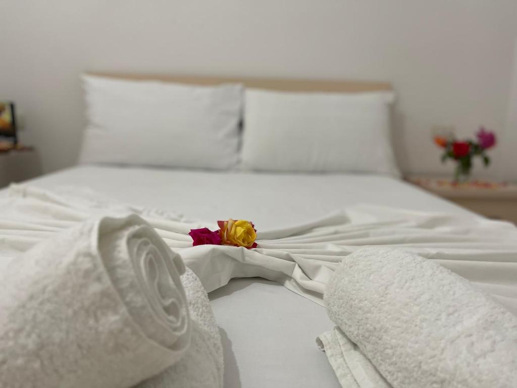 Kristeo - Apartamento - Planta Baja