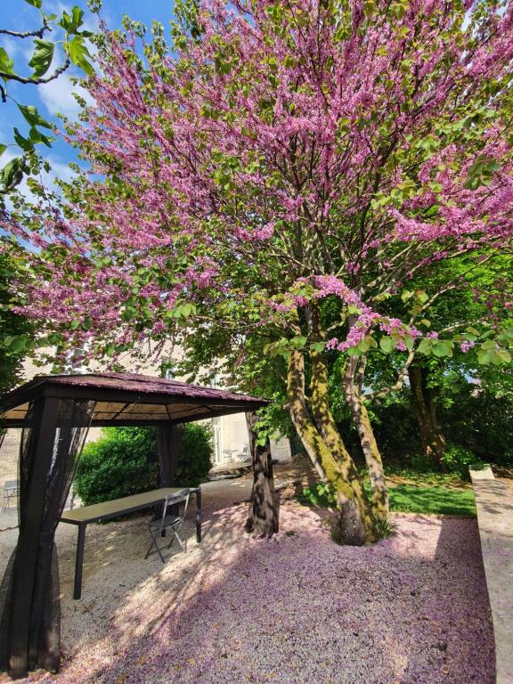 a tree with pink flowers next to a bench at Maison Laurenza 2 chambres d'hôtes in Saint-Jean-de-Liversay