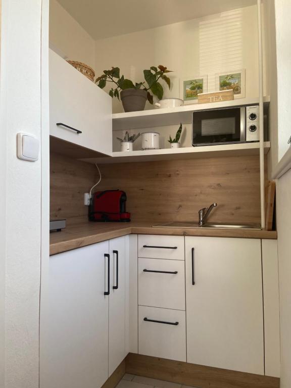 Kuchyň nebo kuchyňský kout v ubytování Apartmán v Březí
