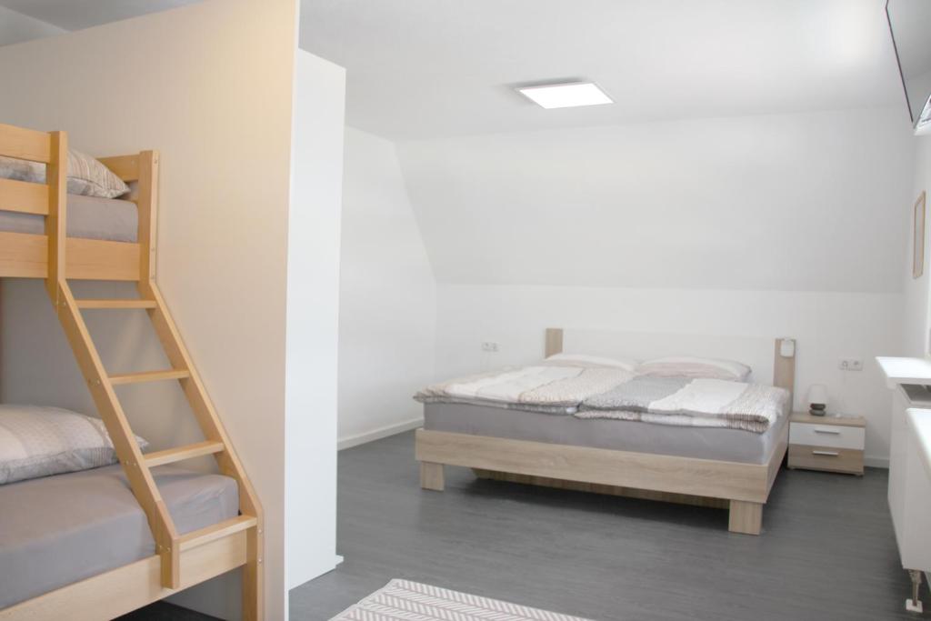 - une chambre avec 2 lits superposés et une échelle dans l'établissement Gästehaus Nebenan, à Dahn