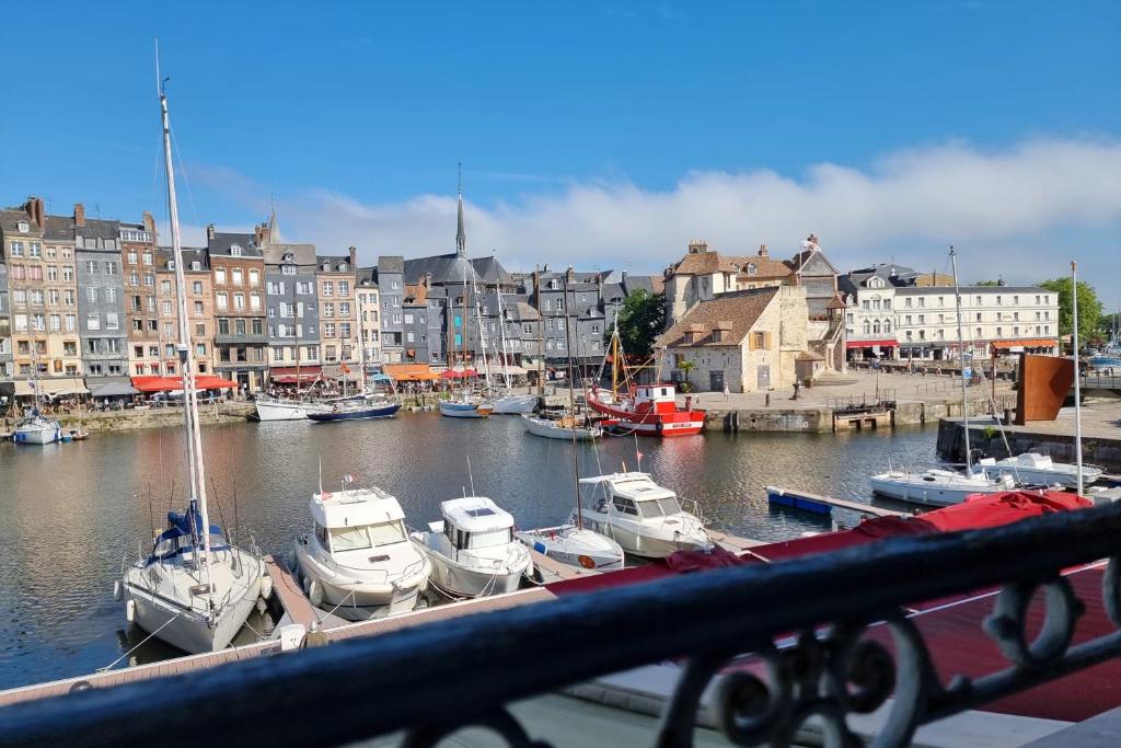 Gallery image of Le Petit Navire - 4P - View of the Port of Honfleur in Honfleur