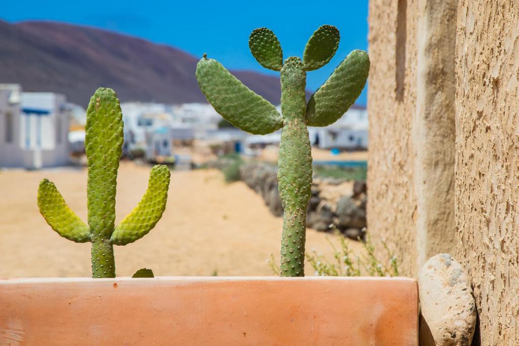 Fotografie z fotogalerie ubytování Eslanzarote La Duna House, Wifi, Sea views v destinaci Caleta de Sebo