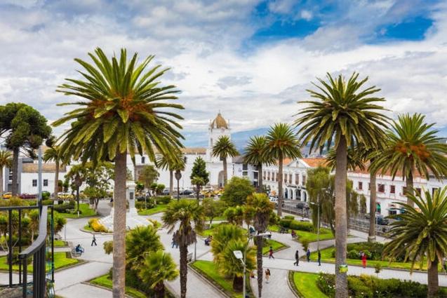 un parque con palmeras frente a un edificio en Hotel Central, en Latacunga