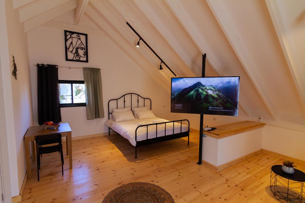 a room with a bed and a television in a attic at מול ההר in Ein Zivan