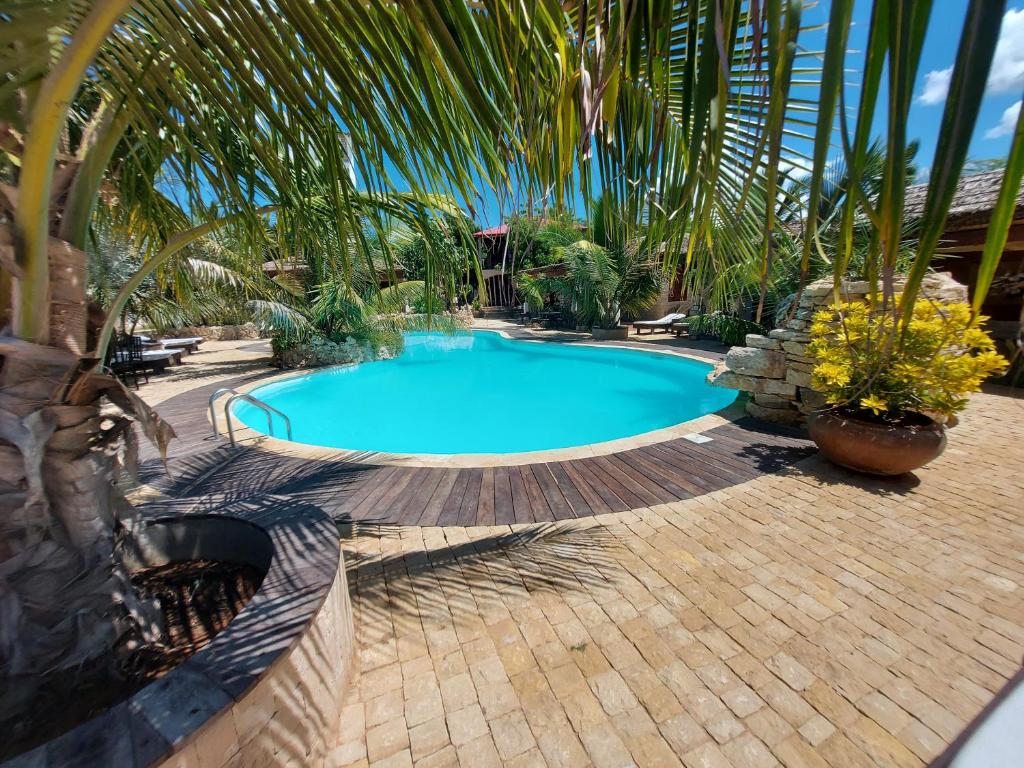 a swimming pool in a backyard with a palm tree at La Bella Donna in Ifaty