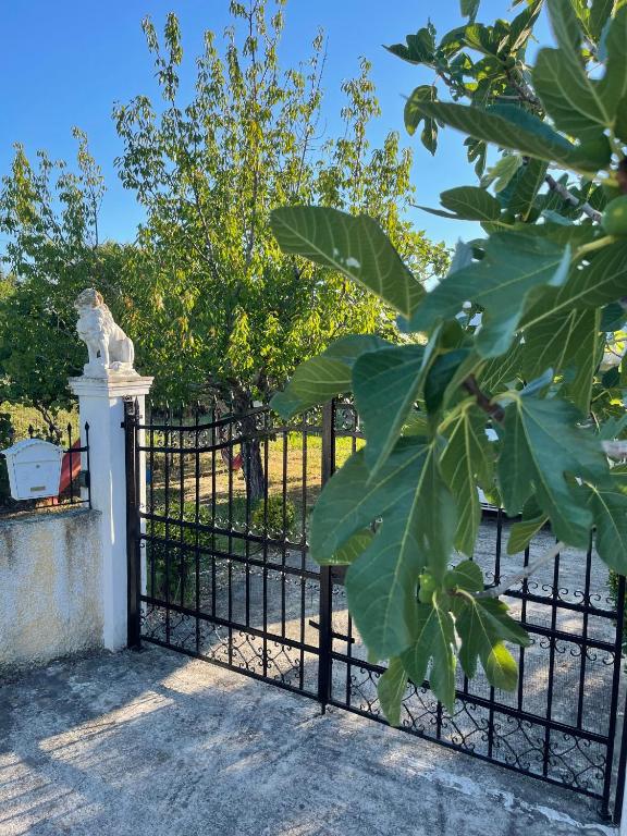 Vrt ispred objekta Beautiful nearby beach house with garden, private pool and large yard