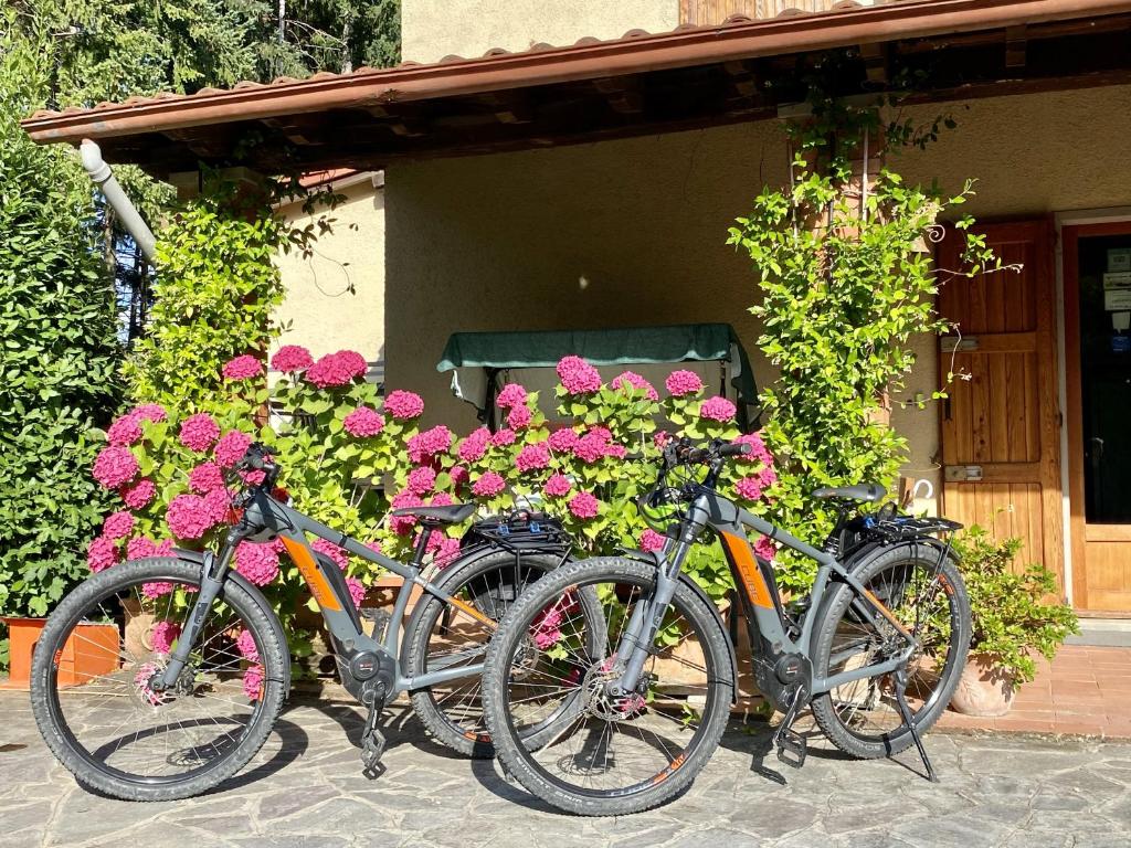Jazda na bicykli v okolí ubytovania Da Ronald ... A Pian Del Papa