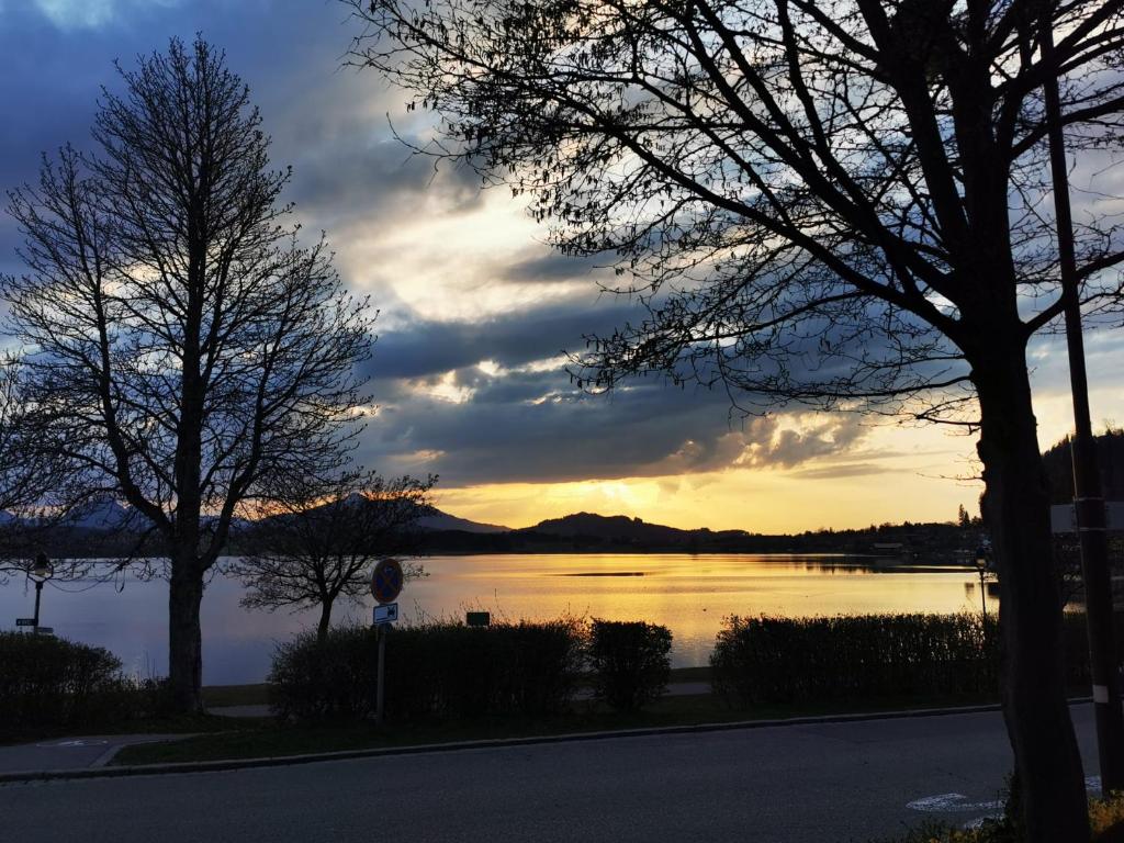 a sunset over a body of water with trees at Direkt am Hopfensee- große Ferienwohnung in Füssen