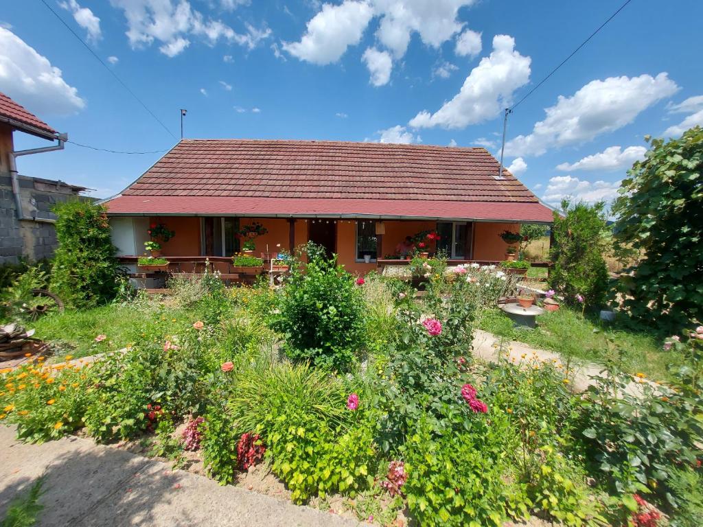 a house with a garden with flowers in front of it at Casa de vacanta in Tara Fagarasului in Beclean