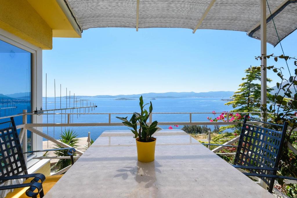 Príroda v okolí apartmánu