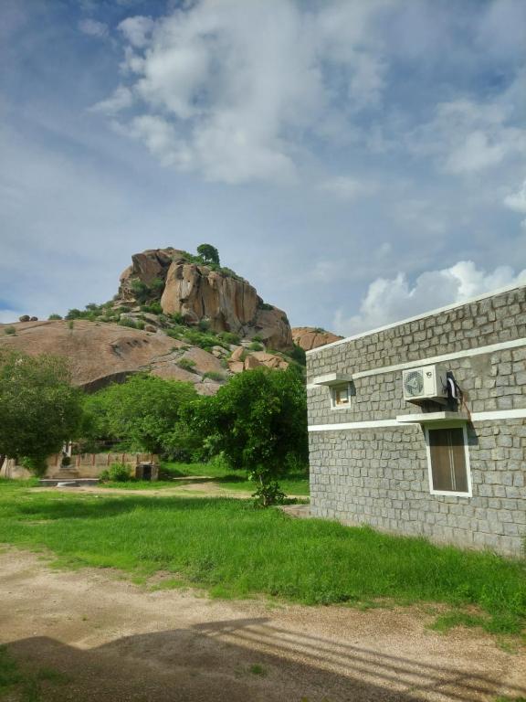 Una pared de ladrillo con una radio a un lado. en JAWAI WILD LODGE, en Bijāpur