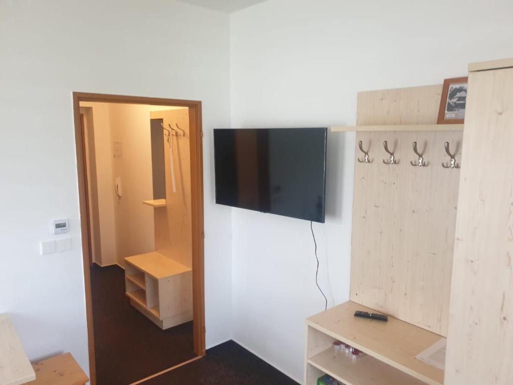 TV a/nebo společenská místnost v ubytování Apartmány Prášily