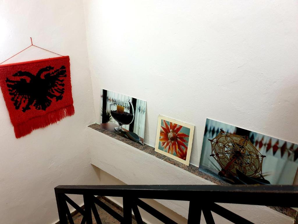 Fotografie z fotogalerie ubytování Vila Koltrina v destinaci Shkodër