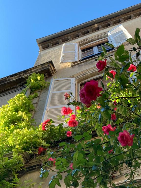 アヴィニョンにあるCocooning Avignonの花窓