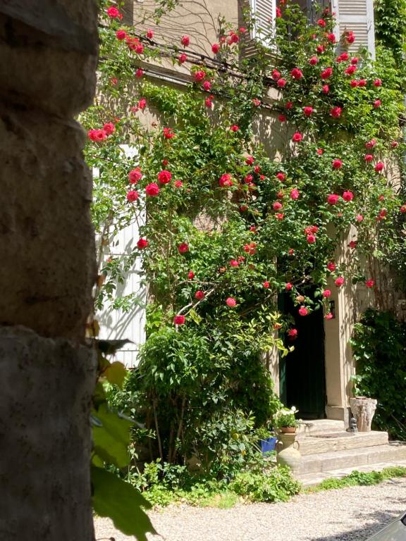 Zahrada ubytování Cocooning Avignon