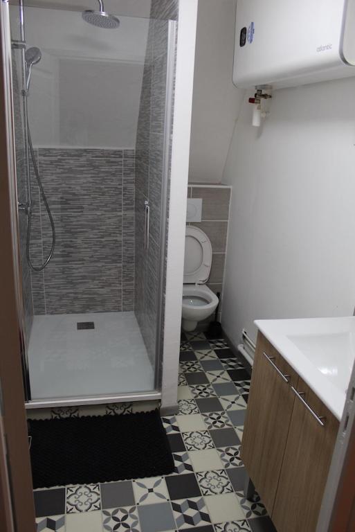 a small bathroom with a shower and a toilet at LES COTTAGES DU PRYTANEE in La Flèche
