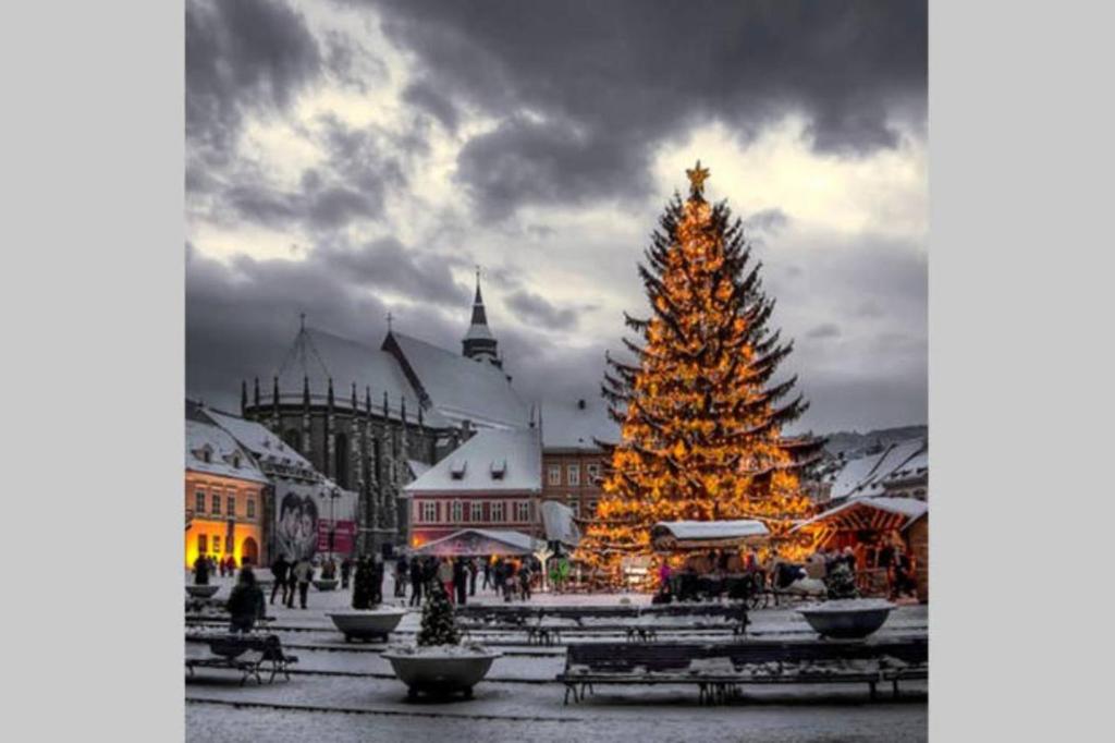 Un árbol de Navidad está iluminado en una ciudad en Vintage Downtown Hostel en Braşov