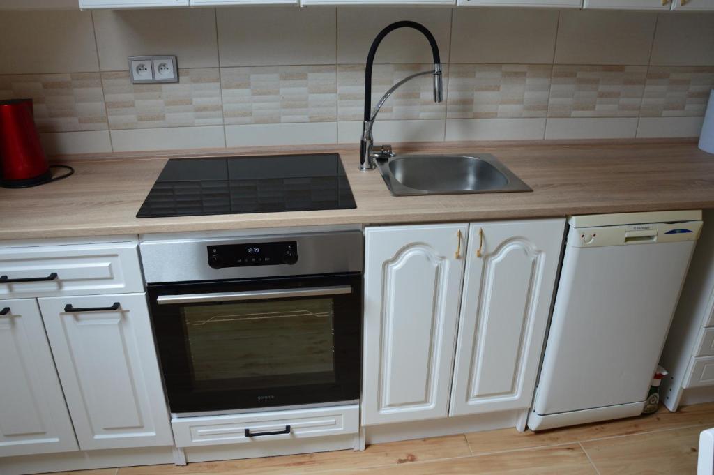 Kuchyň nebo kuchyňský kout v ubytování Horský apartmán Pod Zelenou Střechou