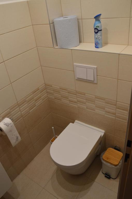 Koupelna v ubytování Horský apartmán Pod Zelenou Střechou
