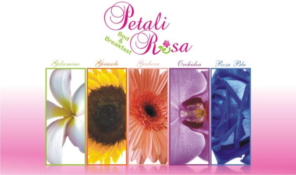 Beb Petali Rosa