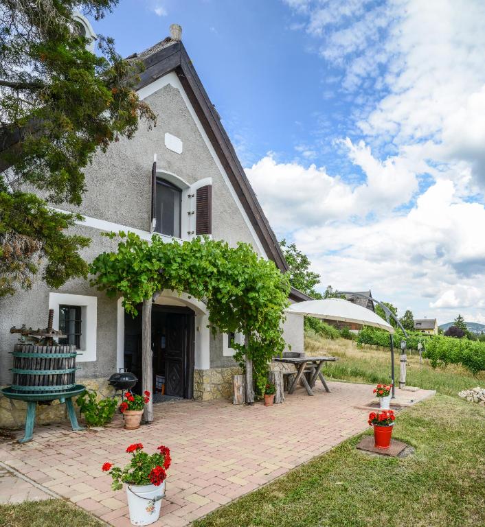 an external view of a house with a patio at Máli Pince in Aszófő
