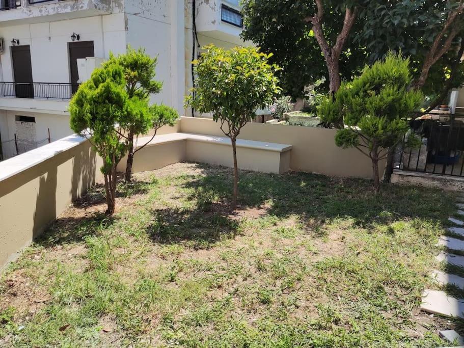 a yard with three trees in front of a building at Μοντέρνο Studio στην πόλη Καβάλα(1,5 χμ από ακτή) in Kavala