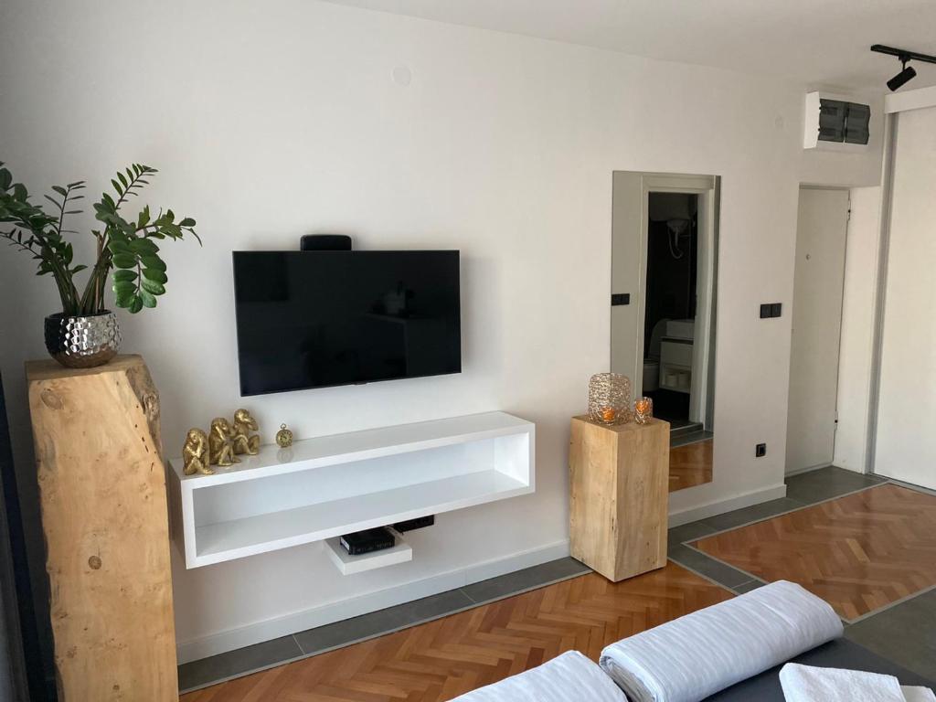 TV i/ili multimedijalni sistem u objektu Apartman Centar No. 1