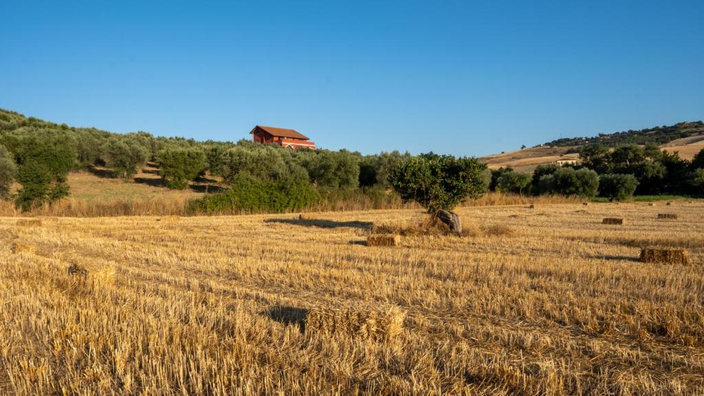 a field of hay with a house in the background at Agriturismo Rende in Tarsia