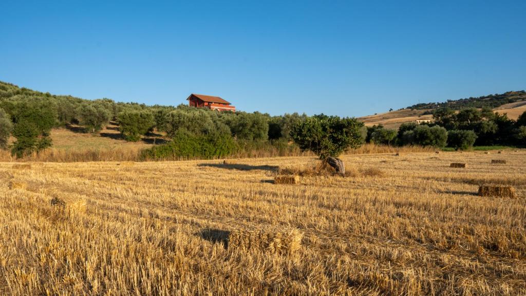 um campo de feno com uma casa ao fundo em Agriturismo Rende em Tarsia