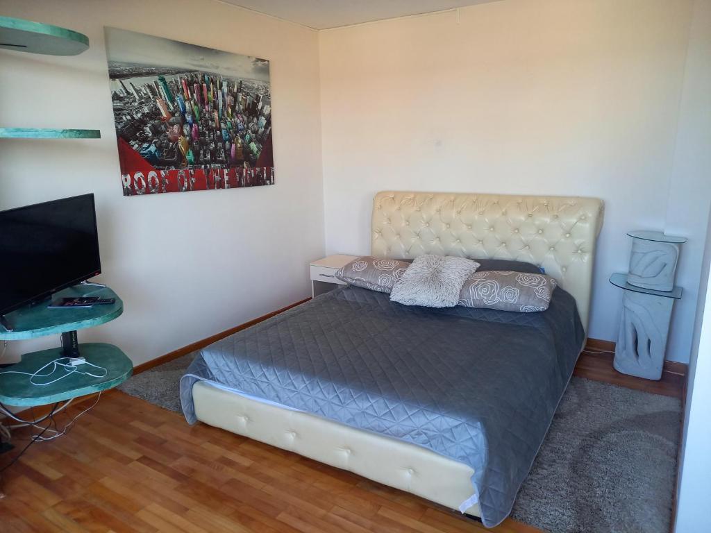 1 dormitorio con 1 cama y TV de pantalla plana en Studio Mali Zmaj, en Belgrado